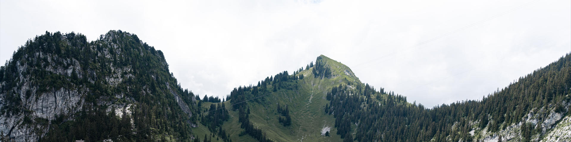 黄山新职工国际旅行社有限公司驻马店营业网点