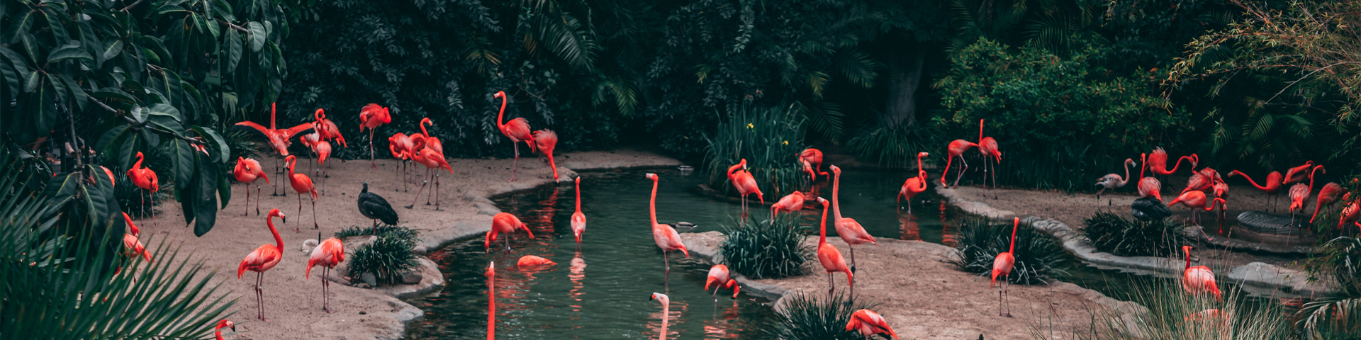 黄山新职工国际旅行社有限公司驻马店营业网点